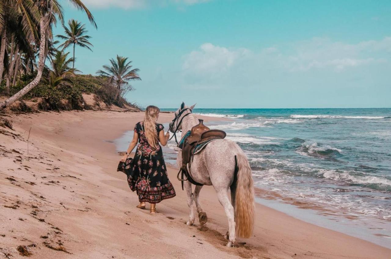 Sea Horse Ranch Villa La Mulata Ngoại thất bức ảnh